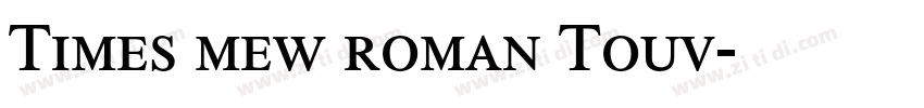 Times mew roman Touv字体转换
